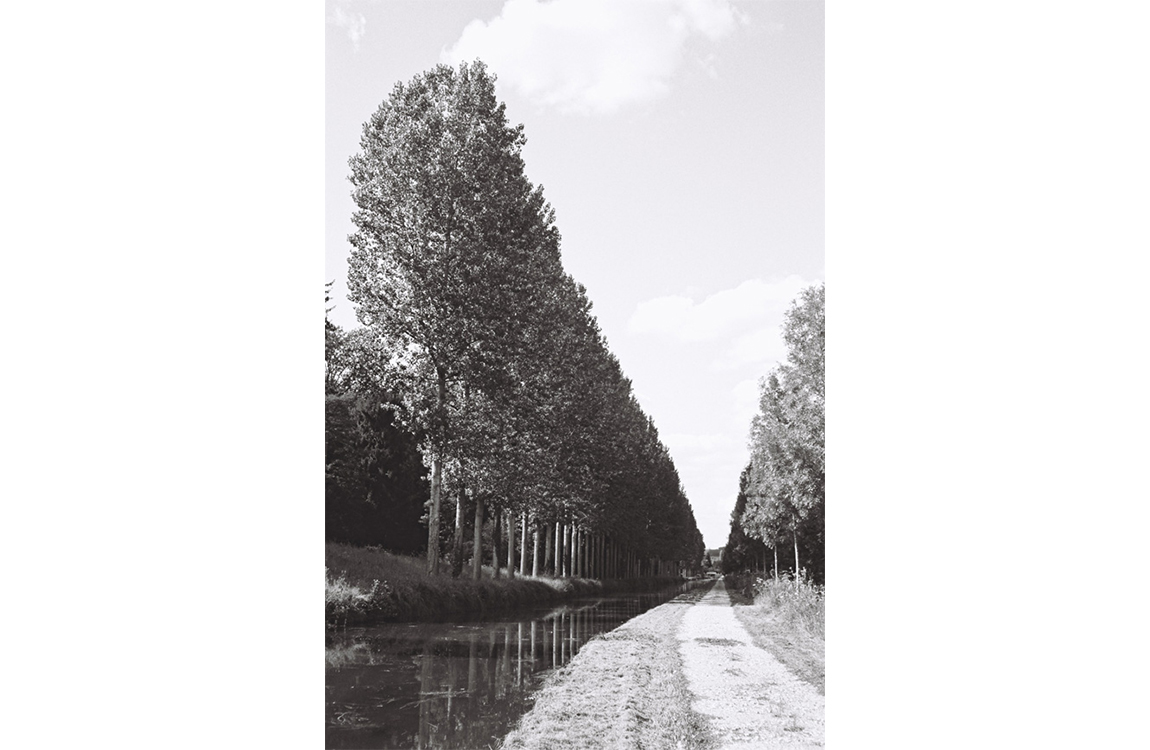 Crouy sur Ourcq, 2011